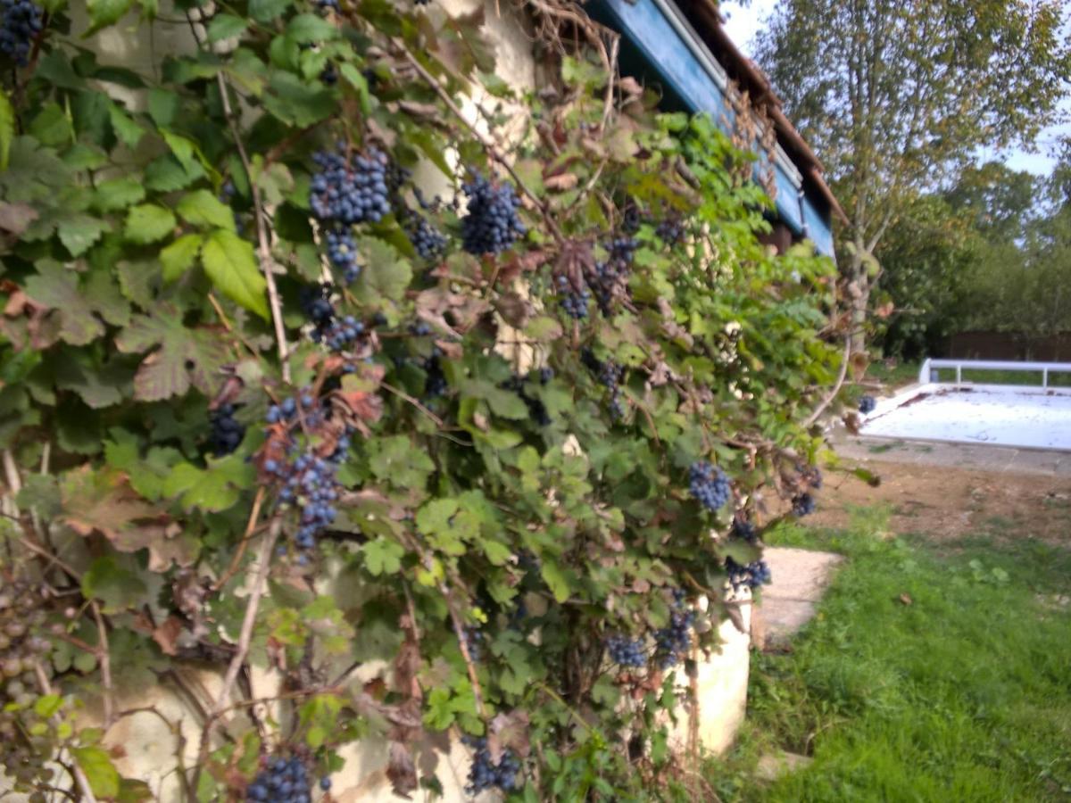 Nicely Renovated Wine-Grower House Fargues-Saint-Hilaire Exterior photo